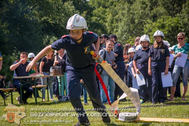 Bezirksfeuerwehrjugendleistungsbewerbe am 10. Juni 2017 im Schosspark Tribuswinkel Foto: ASB ÖA Daniel Wirth AFKDO Baden-Land Bezirksfeuerwehrjugendleistungsbewerbe am 10. Juni 2017 im Schosspark Tribuswinkel Foto: ASB ÖA Daniel Wirth AFKDO Baden-Land