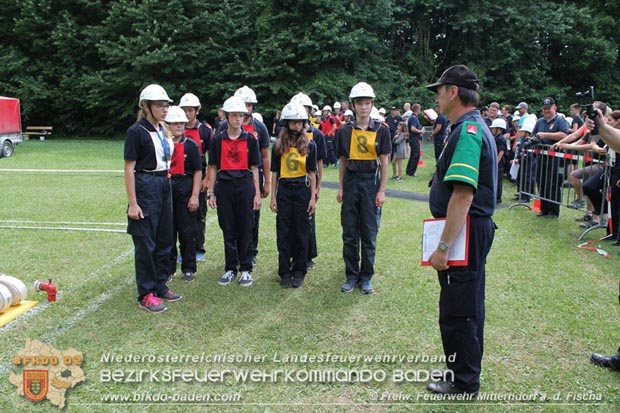 Bezirksfeuerwehrjugendleistungsbewerbe am 10. Juni 2017 im Schosspark Tribuswinkel Foto: FF Mitterndorf a.d.Fischa Bezirksfeuerwehrjugendleistungsbewerbe am 10. Juni 2017 im Schosspark Tribuswinkel Foto: FF Mitterndorf a.d.Fischa