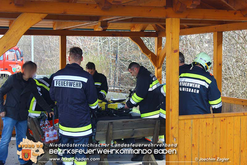 20160304 Gragenbrand Klausen- Leopoldsdorf  Foto: © Joachim Zagler