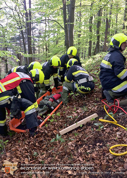 20160417 Technische Übung in St.Veit a.d.Triesting  Foto: © FF St.Veit