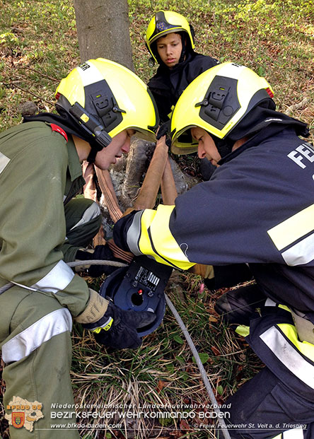 20160417 Technische Übung in St.Veit a.d.Triesting  Foto: © FF St.Veit