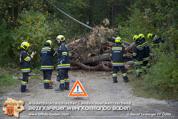 20161015 Zugsuebung des 2. Zuges der 2. KHD-Bereitschaft  Foto:© Bernd Taxberger