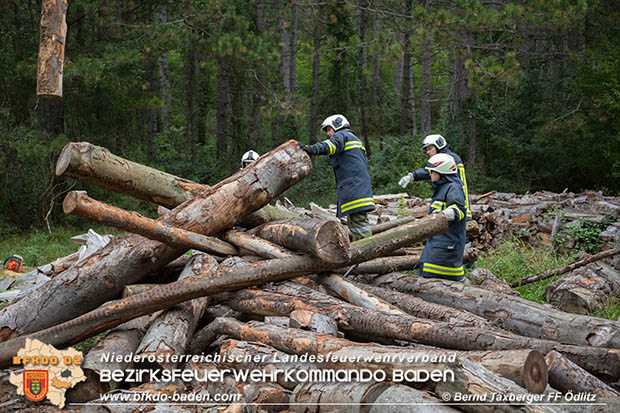 20161015 Zugsuebung des 2. Zuges der 2. KHD-Bereitschaft  Foto:© Bernd Taxberger