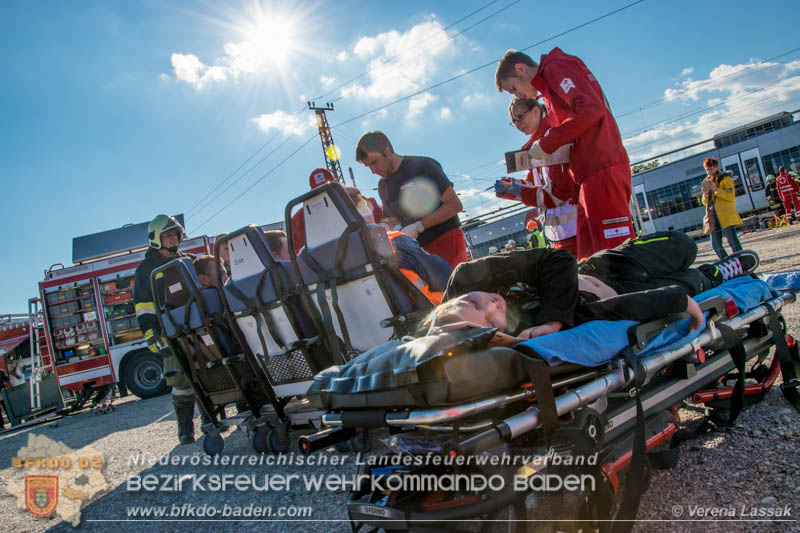 20161022 Volontario16 Foto: Verena Lassak