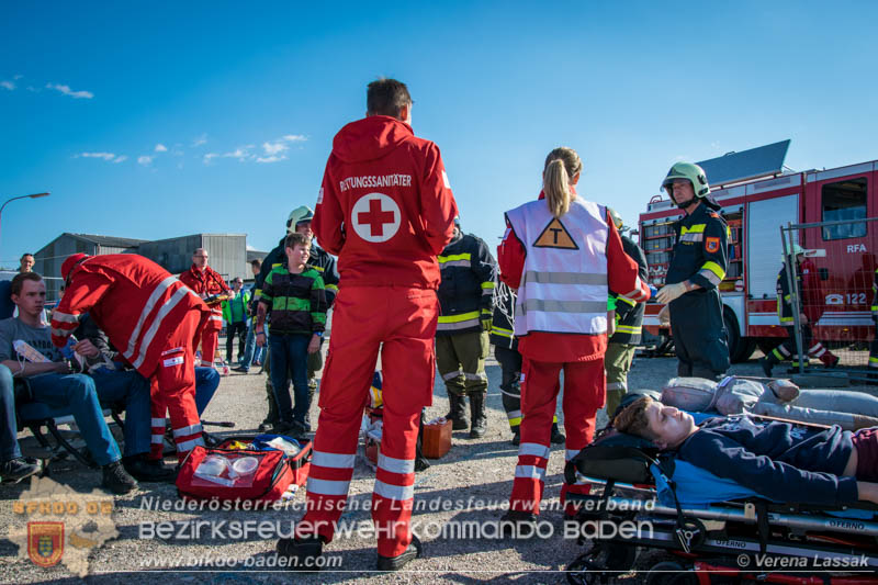 20161022 Volontario16 Foto: Verena Lassak