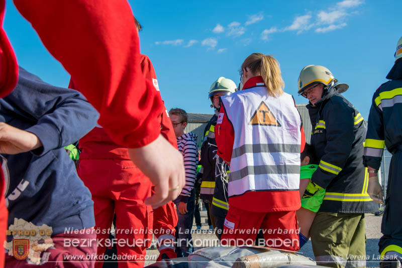 20161022 Volontario16 Foto:Verena Lassak