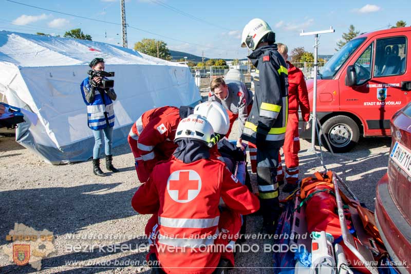 20161022 Volontario16 Foto: Verena Lassak