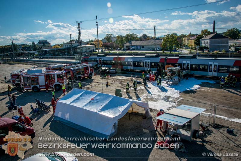 20161022 Volontario16 Foto: Verena Lassak