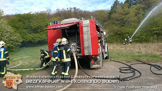 20170409 Waldbrandübung in Hirtenberg  Foto: © FF Hirtenberg