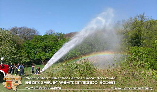 20170409 Waldbrandübung in Hirtenberg  Foto: © FF Hirtenberg