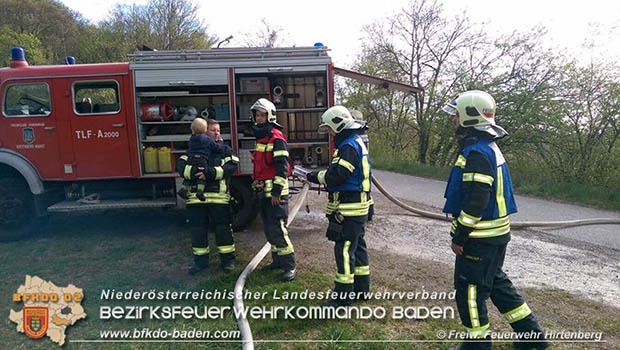 20170409 Waldbrandübung in Hirtenberg  Foto: © FF Hirtenberg