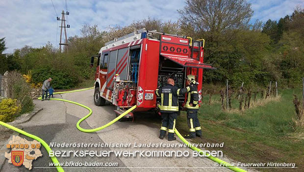 20170409 Waldbrandübung in Hirtenberg  Foto: © FF Hirtenberg