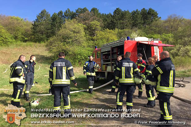 20170409 Waldbrandübung in Hirtenberg  Foto: © FF Hirtenberg
