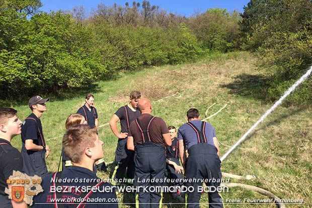 20170409 Waldbrandübung in Hirtenberg  Foto: © FF Hirtenberg