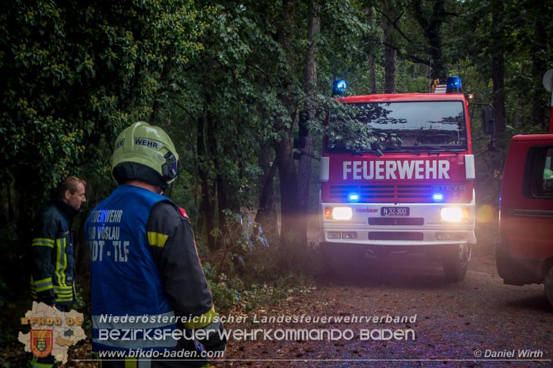 20170901 Einsatzübung Harzberg  Foto: Verena Lassak und Daniel Wirth