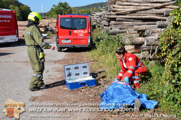 20170930 Grossuebung Pkw gegen Personenzug in St.Veit a.d.Triesting  Foto: © Guenter Pretl FF St. Veit