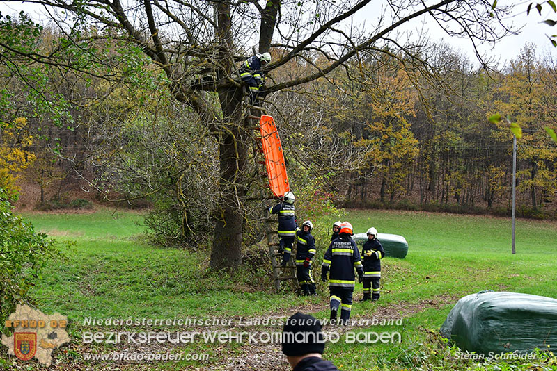 Unterabschnittsuebung Alland 2017 Foto © Stefan Schneider