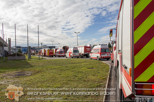 20171118_Uebung_Flughafen_BV Foto: Melanie Deli