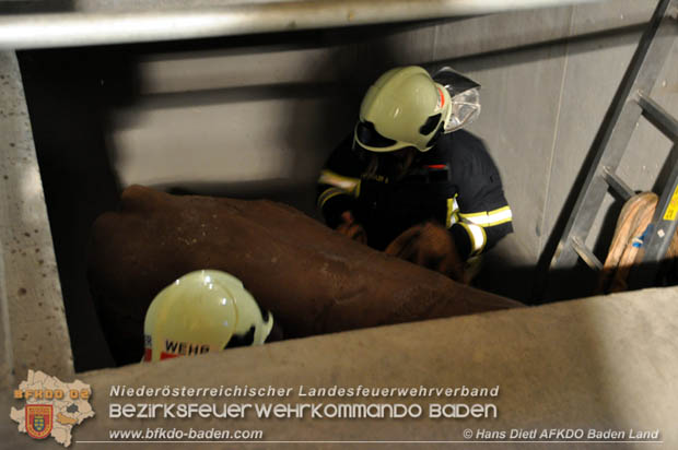 20171125 KHD Bereitschaftsübung in der Landesfeuerwehrschule Tulln  Foto: VI Hans Dietl FF Möllersdorf