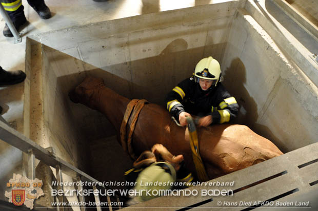 20171125 KHD Bereitschaftsübung in der Landesfeuerwehrschule Tulln  Foto: VI Hans Dietl FF Möllersdorf
