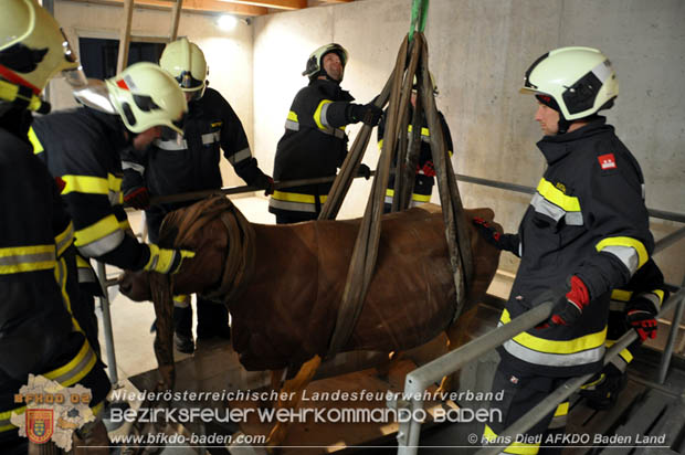20171125 KHD Bereitschaftsübung in der Landesfeuerwehrschule Tulln  Foto: VI Hans Dietl FF Möllersdorf