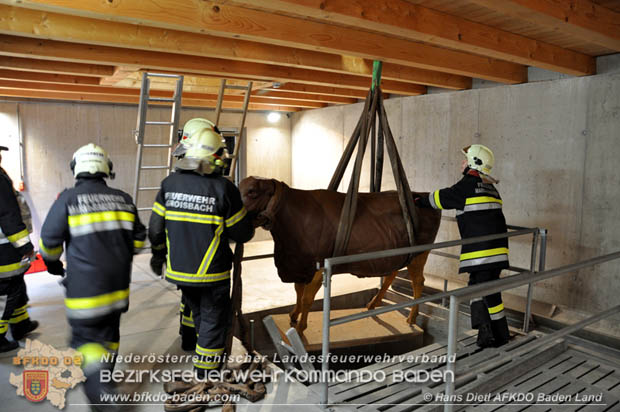 20171125 KHD Bereitschaftsübung in der Landesfeuerwehrschule Tulln  Foto: VI Hans Dietl FF Möllersdorf