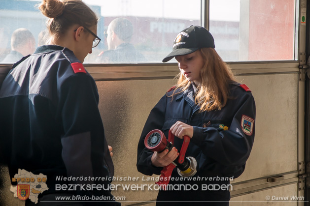 Wissenstest 2018 - Kottingbrunn | Foto: Daniel Wirth