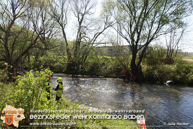 0180421 Bundesländerübergreifende Schadstoffeinsatzübung auf der A3 zwischen Pottendorf NÖ - Hornstein Bgld   Foto: Julia Hackl