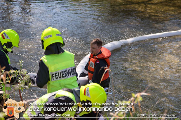 20180421 Bundesländerübergreifende Schadstoffeinsatzübung auf der A3 zwischen Pottendorf NÖ - Hornstein Bgld   Foto: Stefan Schneider