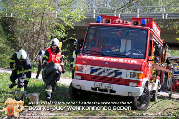 20180421 Bundesländerübergreifende Schadstoffeinsatzübung auf der A3 zwischen Pottendorf NÖ - Hornstein Bgld   Foto: Stefan Schneider