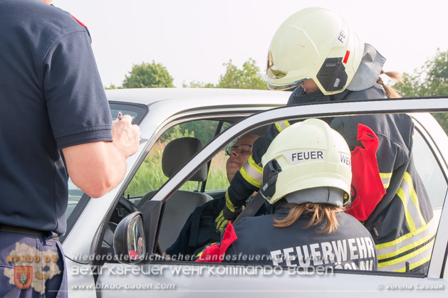 APTE Bad Voeslau 2018 - Foto Verena Lassak