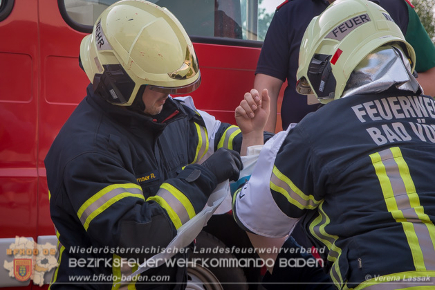 APTE Bad Voeslau 2018 - Foto Verena Lassak
