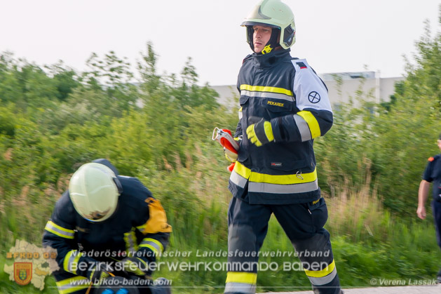 APTE Bad Voeslau 2018 - Foto Verena Lassak