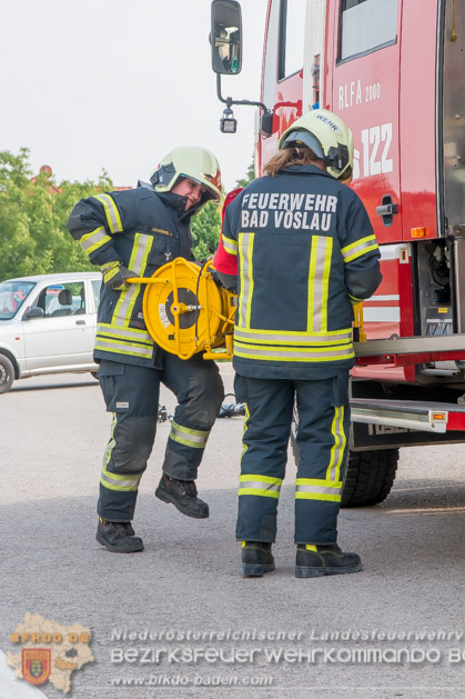 APTE Bad Voeslau 2018 - Foto Verena Lassak