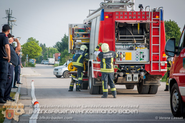 APTE Bad Voeslau 2018 - Foto Verena Lassak