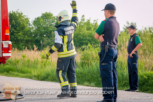 APTE Bad Voeslau 2018 - Foto Verena Lassak