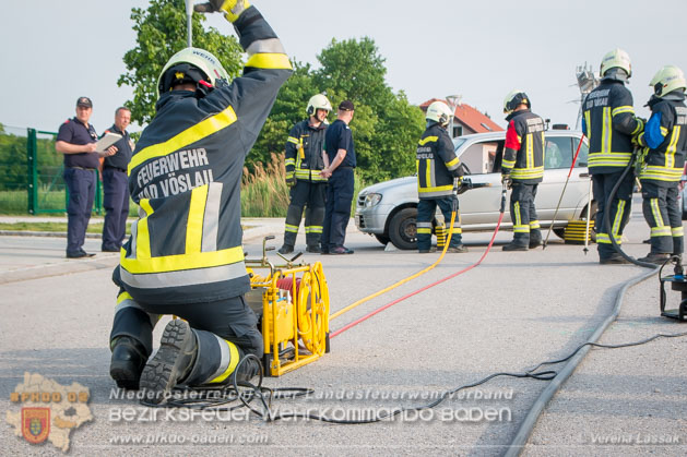 APTE Bad Voeslau 2018 - Foto Verena Lassak