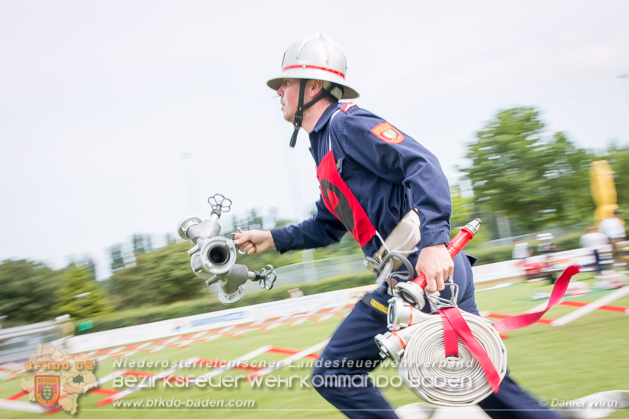 20180609 AFK Bewerbe 2018 | Foto Daniel Wirth