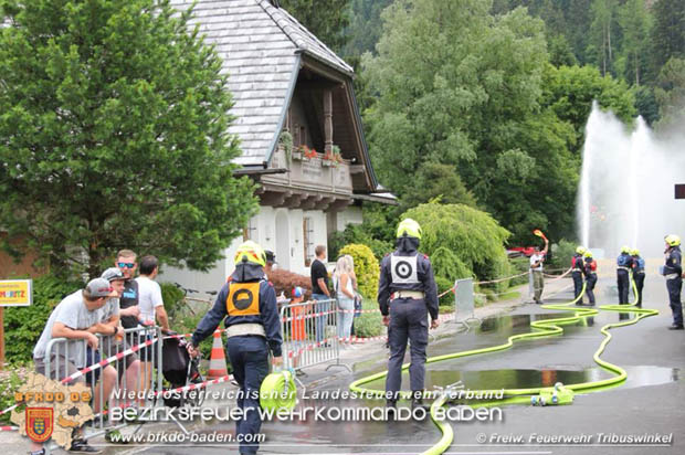 20180616 Bewerbsgruppe Tribuswinkel erwarb das Kaertner Leistungsabzeichen in Bronze  Foto: FF Tribuswinkel 