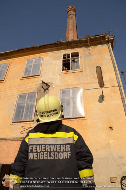 20181013 Unterabschnittsübung in Weigelsdorf  Foto: © Thomas Lenger Monatsrevue.at
