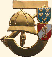 Feuerwehrjugendleistungsabzeichen in GOLD Feuerwehrjugendleistungsabzeichen in GOLD