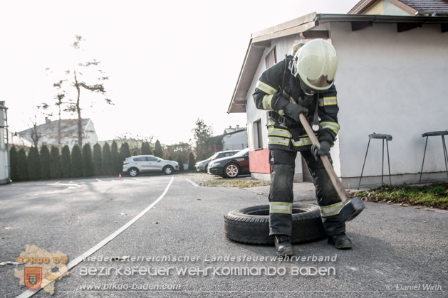 20181117_Finnentest Bad Voeslau - Foto Daniel Wirth