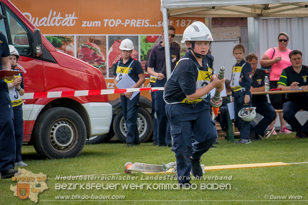 BFJLB Schönau/Triesting 2019 - Foto Daniel Wirth