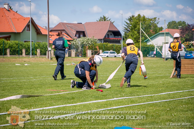 BFJLB Schönau/Triesting 2019 - Foto Daniel Wirth