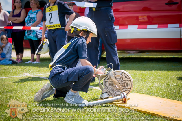 BFJLB Schönau/Triesting 2019 - Foto Daniel Wirth