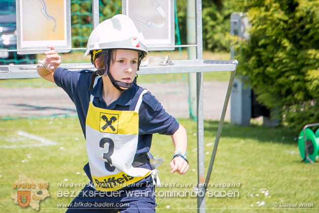 BFJLB Schönau/Triesting 2019 - Foto Daniel Wirth