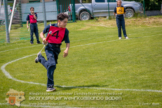BFJLB Schönau/Triesting 2019 - Foto Daniel Wirth