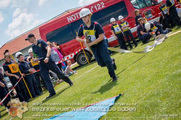 BFJLB Schönau/Triesting 2019 - Foto Daniel Wirth