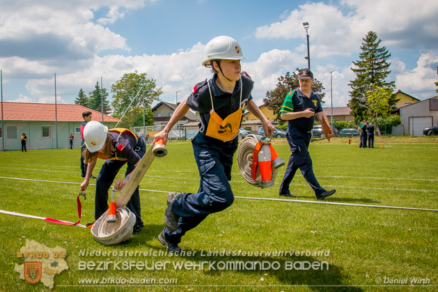 BFJLB Schönau/Triesting 2019 - Foto Daniel Wirth
