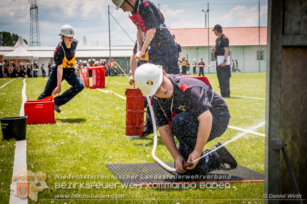 BFJLB Schönau/Triesting 2019 - Foto Daniel Wirth